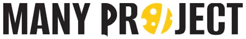 MANY PROJECT